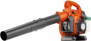 14 Best Budget Leaf Blowers