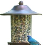 Bird Feeders
