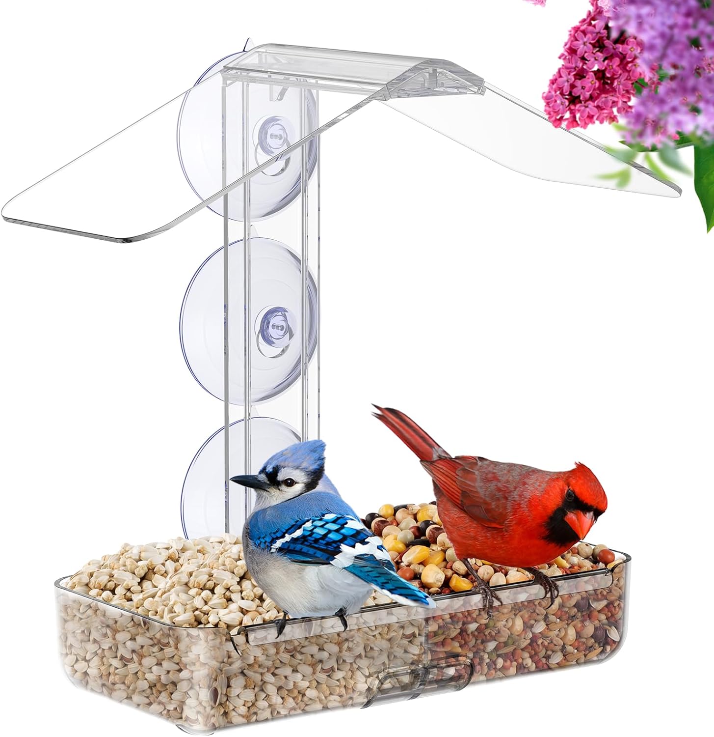 Window Bird Feeder with Strong Suction Cups