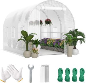 8 Best Top 10 Greenhouses