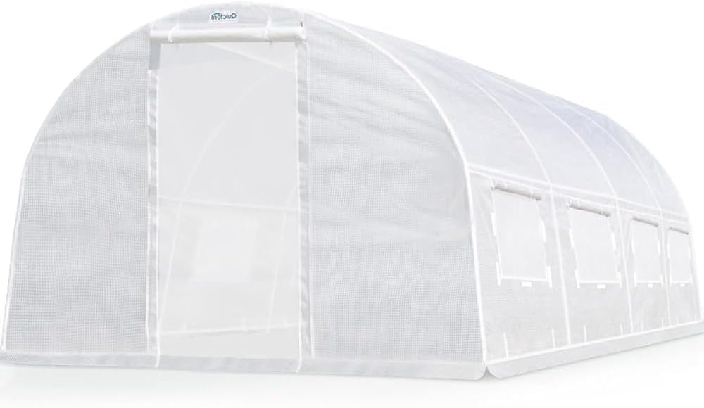 Quictent 20x10x6.6 FT Greenhouse for Outdoors