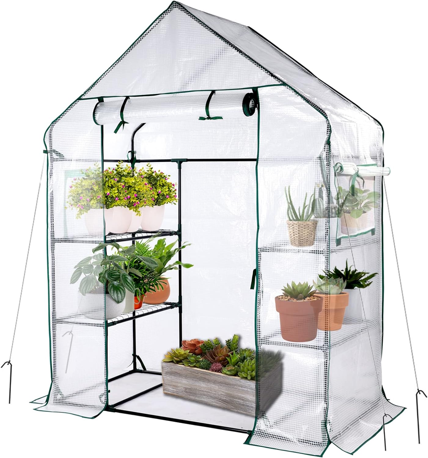 Mini Greenhouse