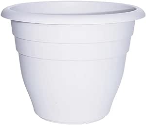 10-Pack 10 inch Plastic Planters