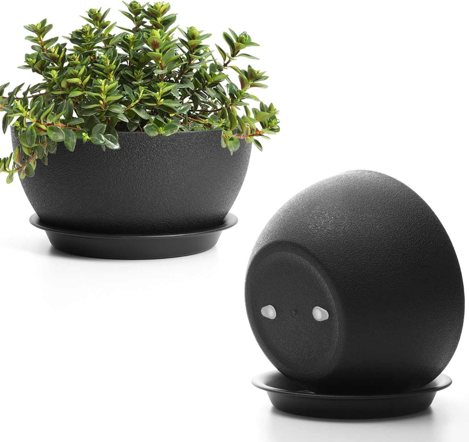 T4U 10 Inch Plant Pots