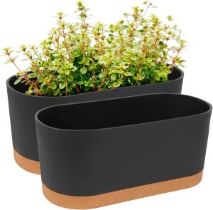 8 Best Budget Planters