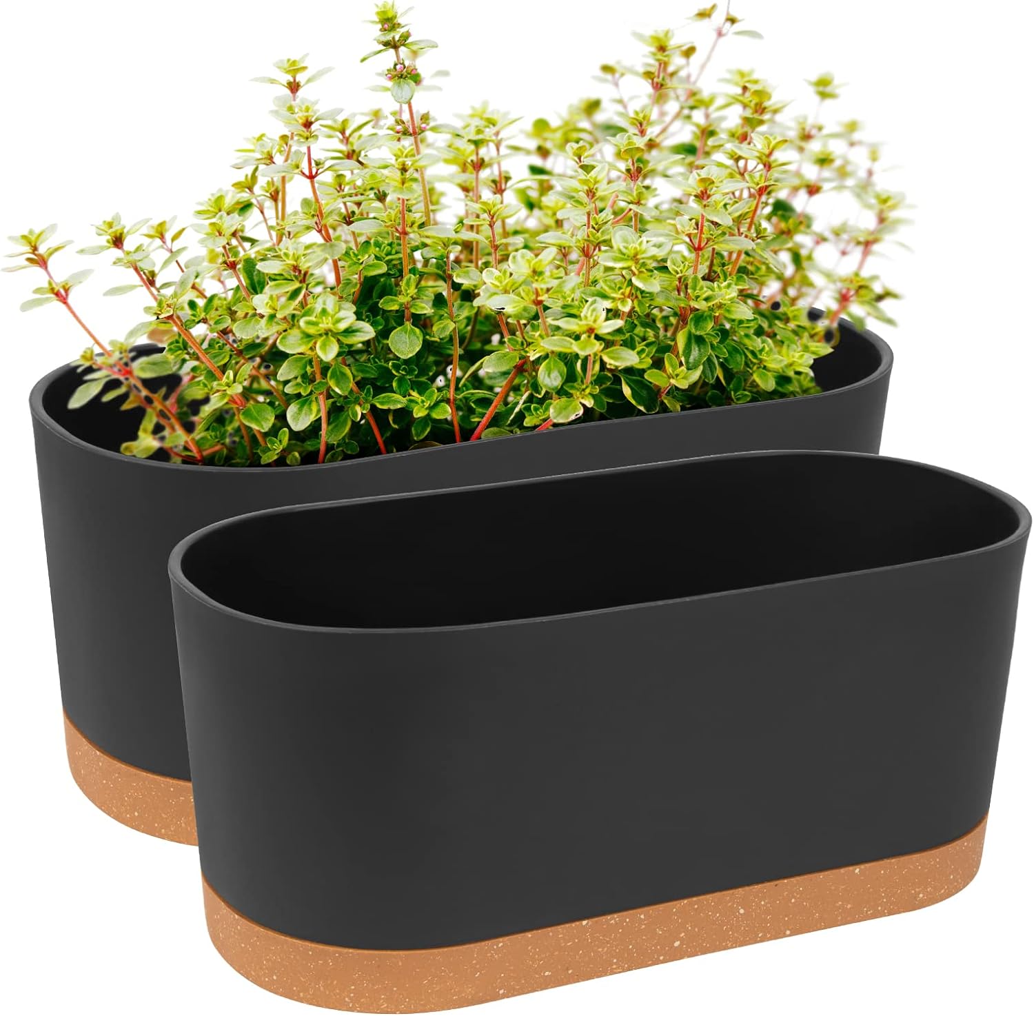 QCQHDU 2 Pack Window Boxes Planters