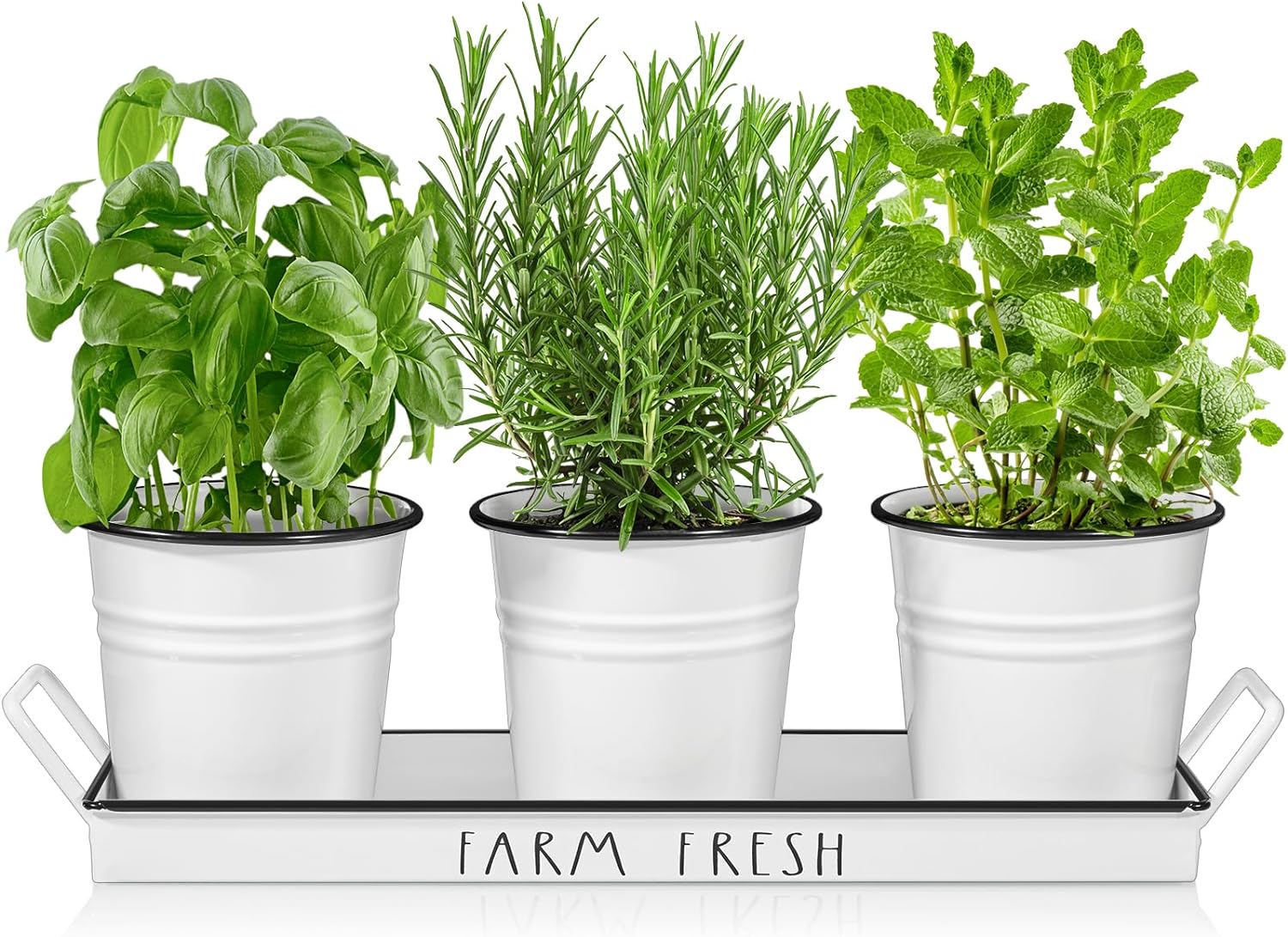 Farmhouse Herb Garden Planter Indoor Window Planter Set with Tray