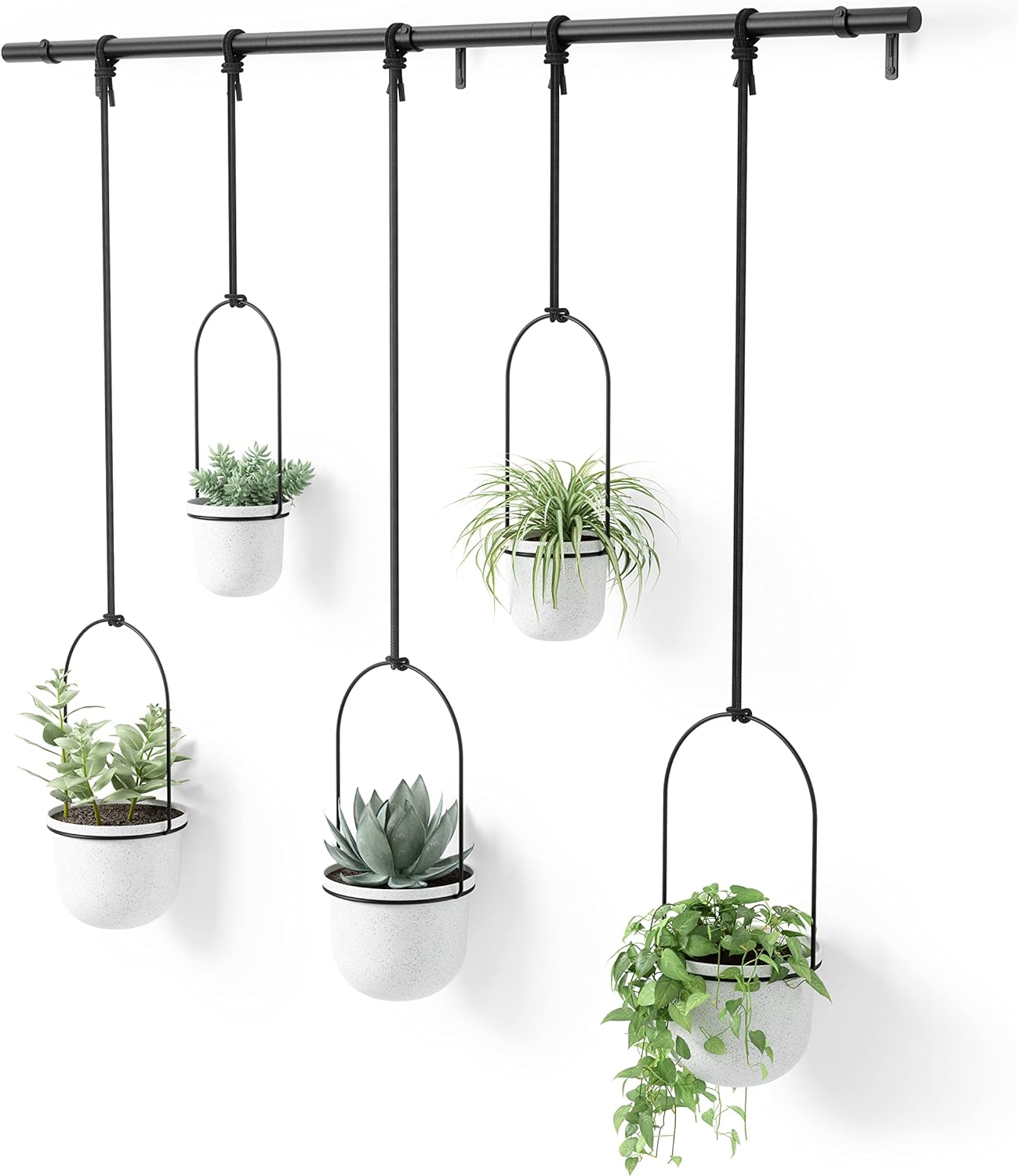 Umbra Triflora Hanging Planter for Window