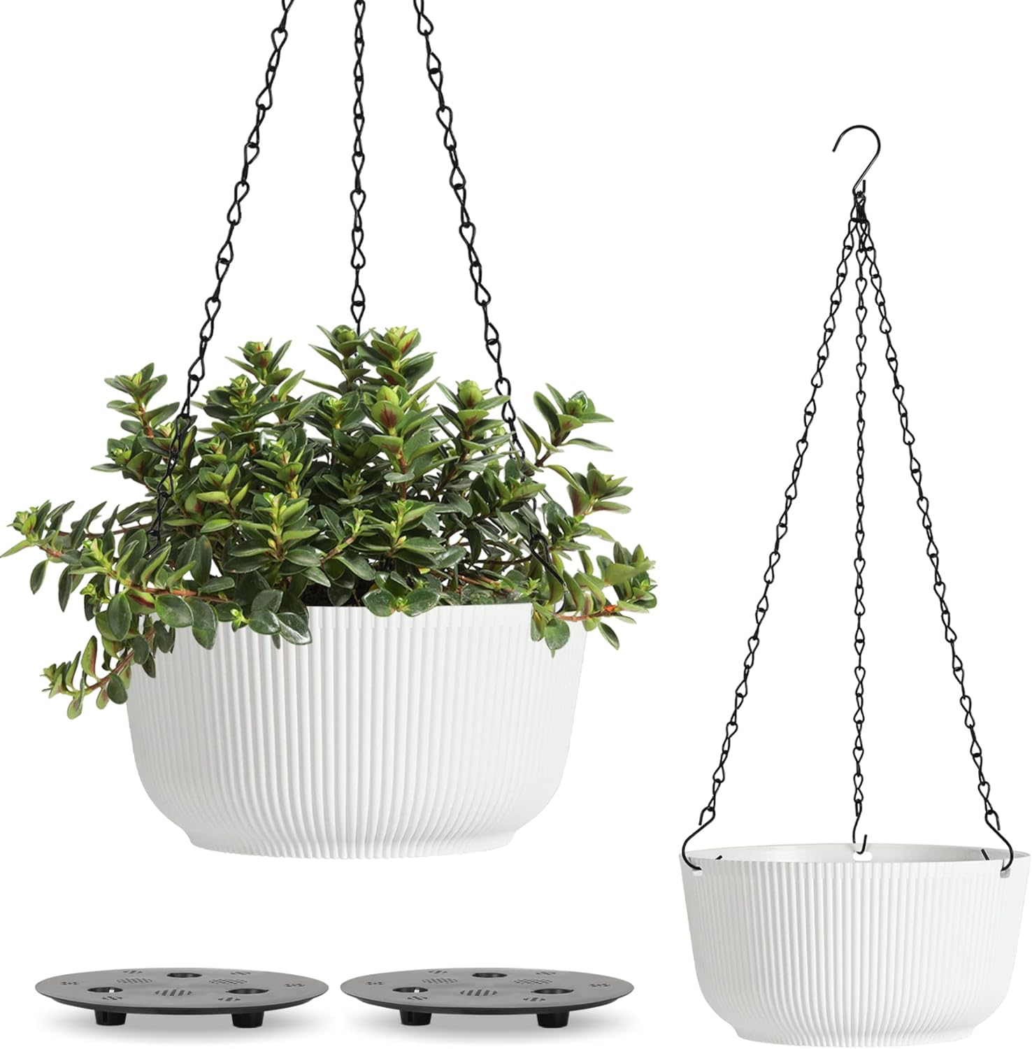 T4U Hanging Planter Self Watering 8 Inch