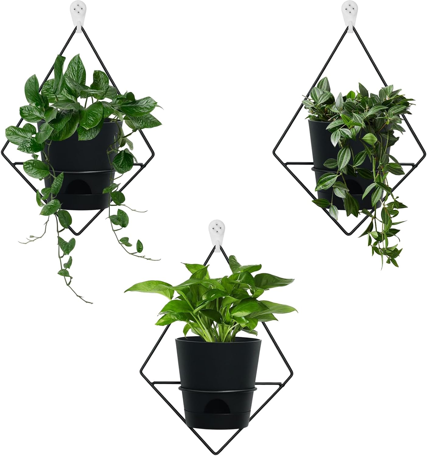 3 Sets of Wall Planters for Indoor Plants