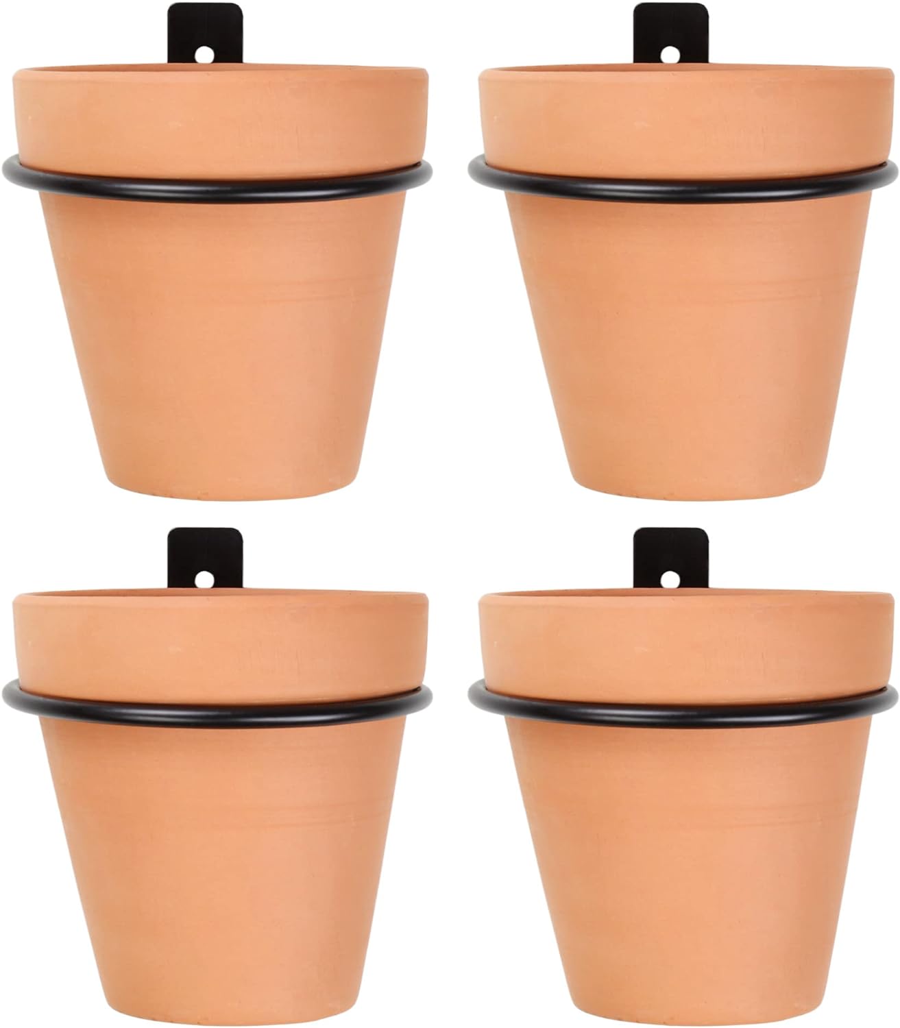 Darware Metal Wall Ring Planters with Pots (4-Pack