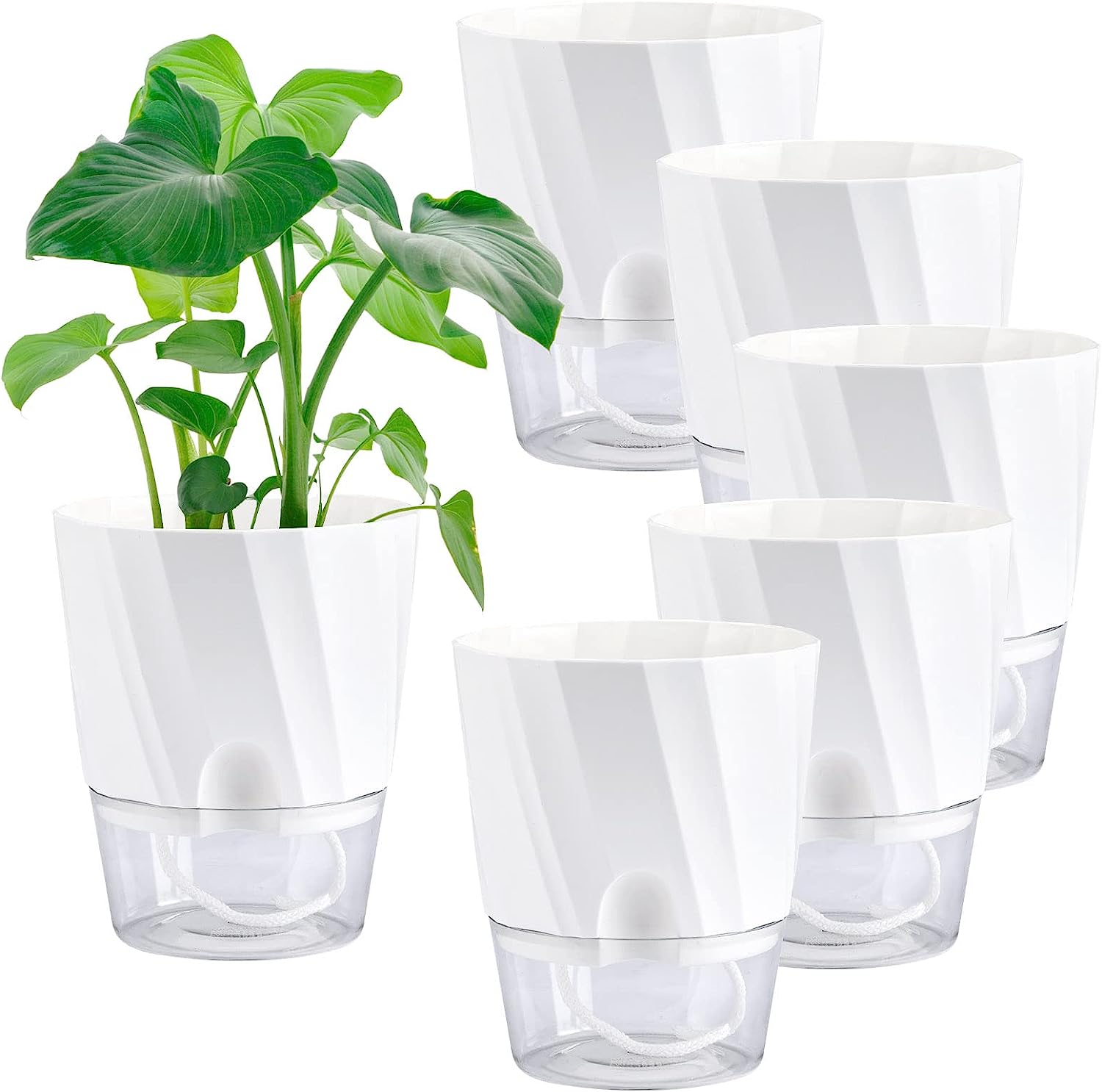 Whonline 6 Inch Self Watering Pots for Indoor Plants