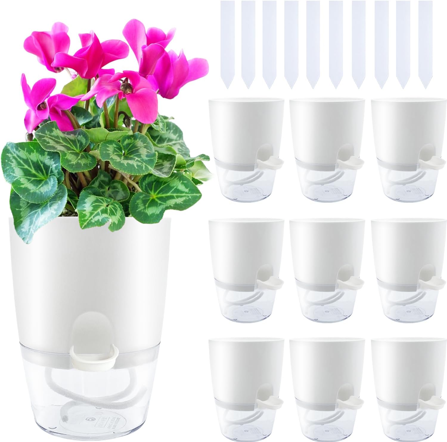 10 Pack Clear Self Watering Planters