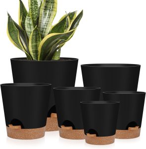 11 Best Indoor Planters