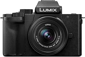 Panasonic LUMIX G100 4k Mirrorless Camera for Photo and Video